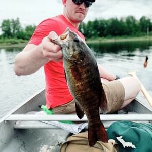 Meet your Posher, Jon